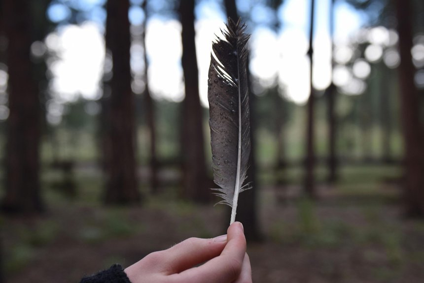 donate salvaged materials colorado
